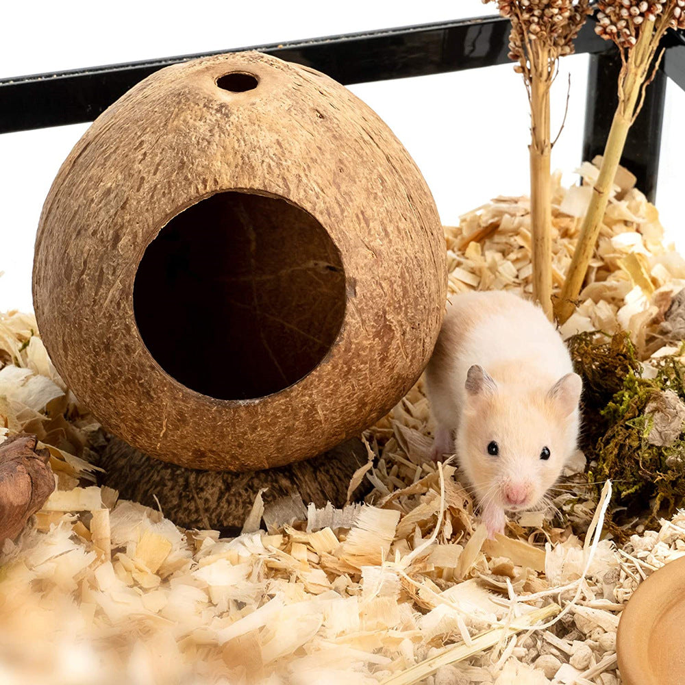 Nid de noix de coco pour hamster