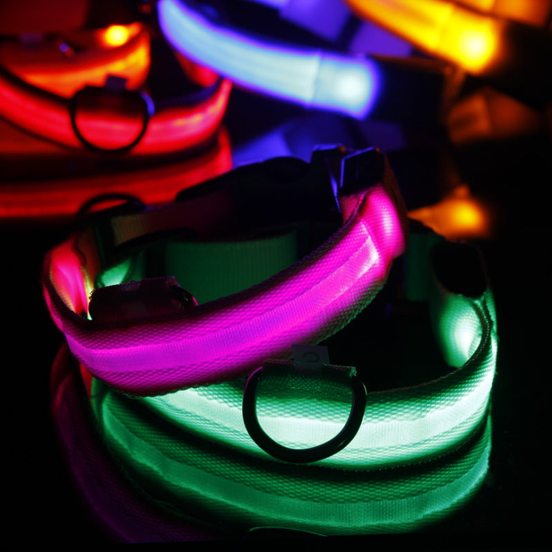 LED Safety Dog Collar
