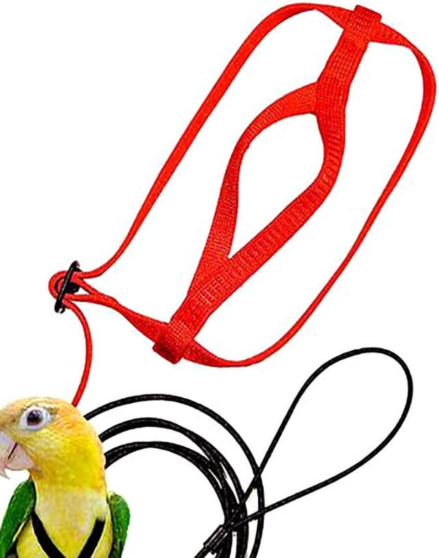 Parrot Harness with Flying Rop
