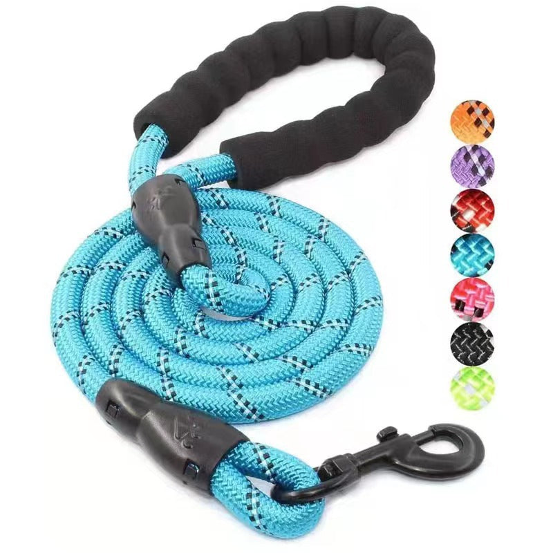 Reflective Nylon Dog Leash