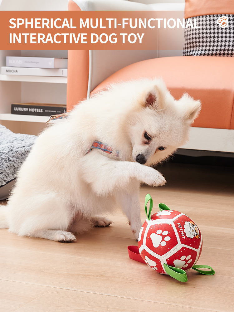 Interactive Dog Soccer Chew Toy