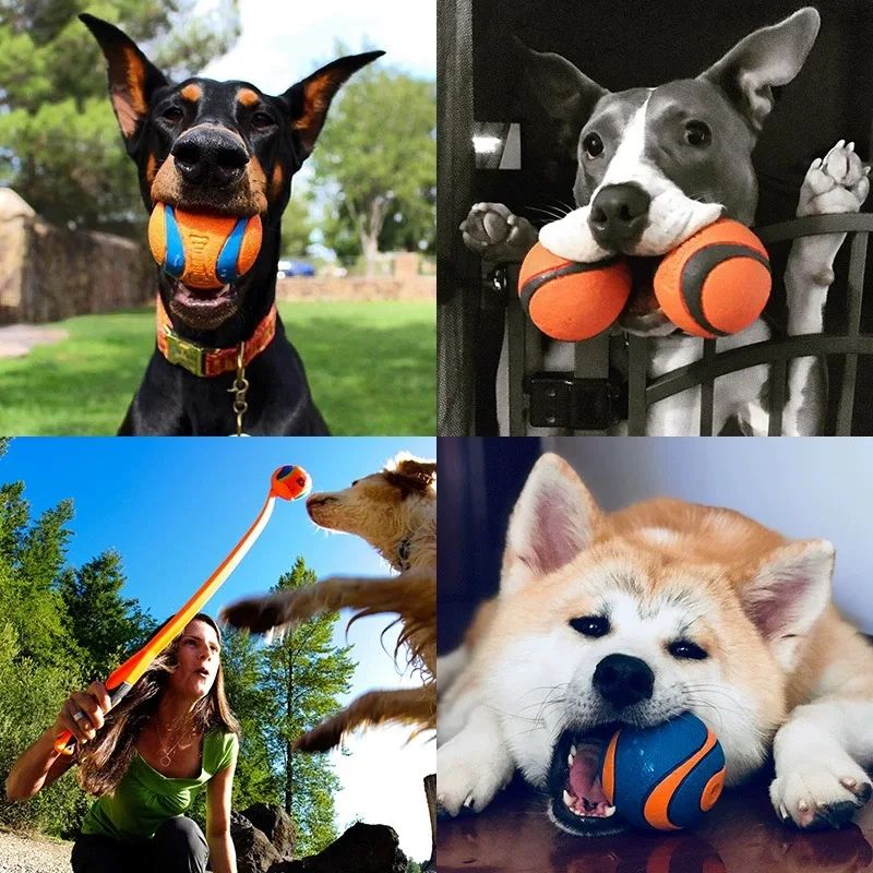 Durable Dog Fetch Chew Ball