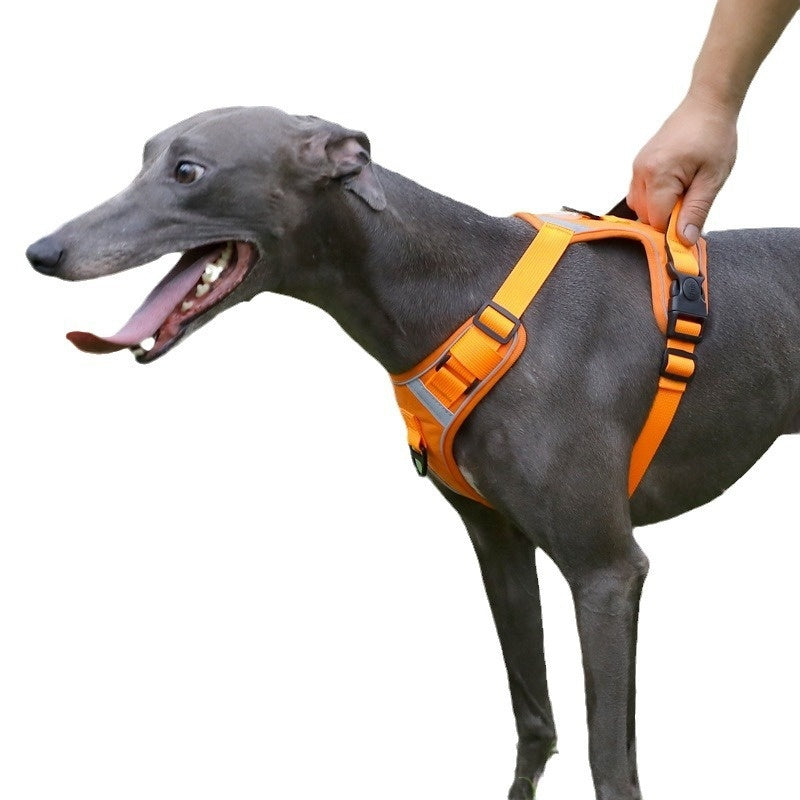 Adjustable Dog Harness Set