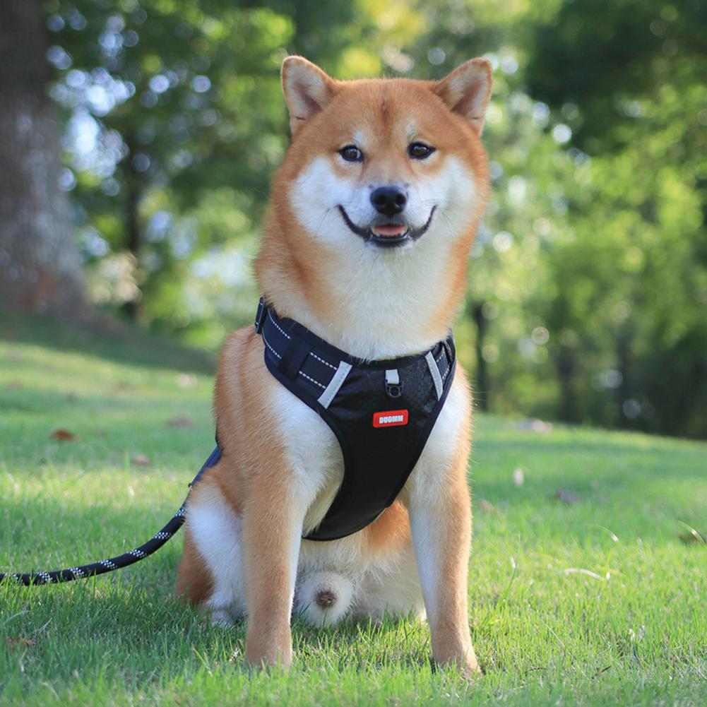 Adjustable No-Pull Dog Harness
