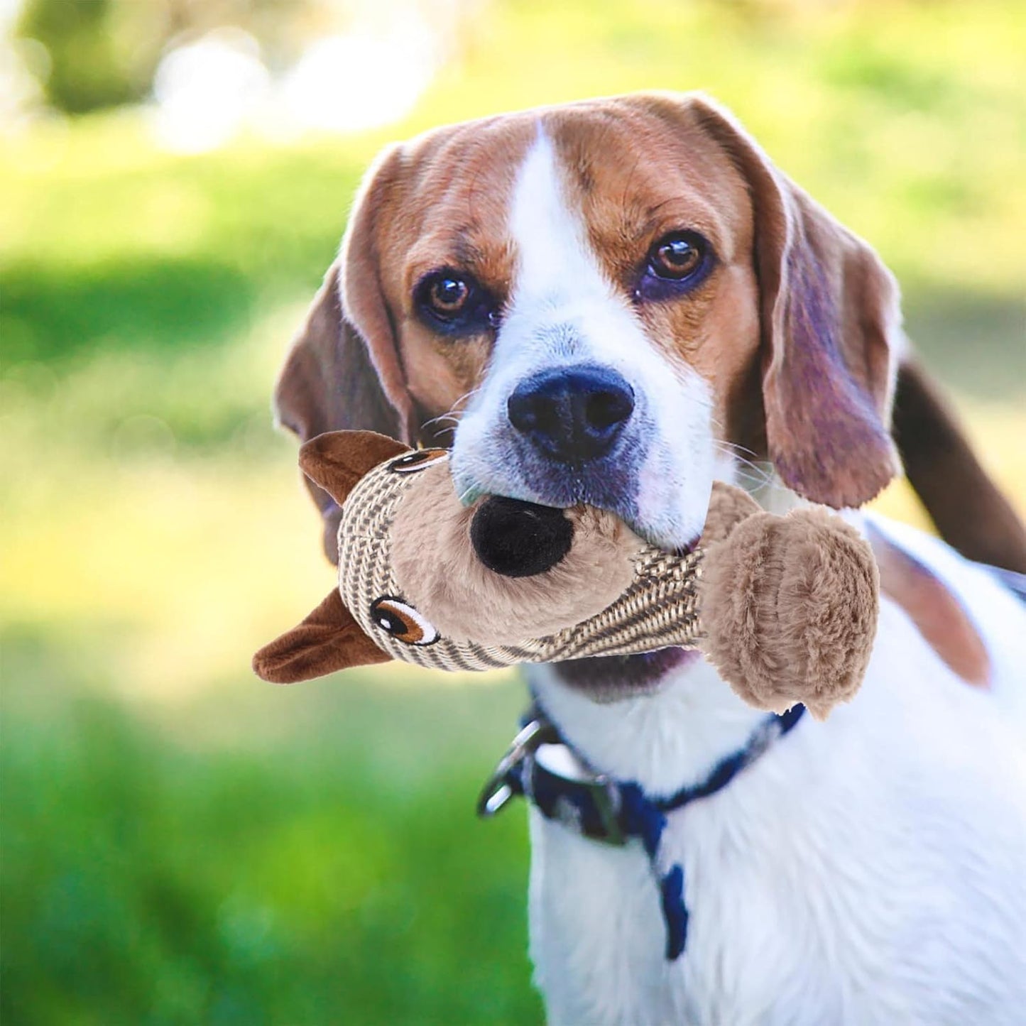Large Squeaky Dog Plush Toy